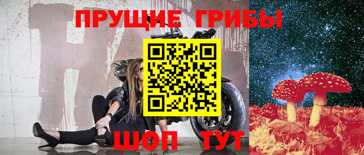 Галлюциногенные грибы мицелий  Псилоцибиновые грибы Psilocybine cubensis  Сатка  Вход с VPN 